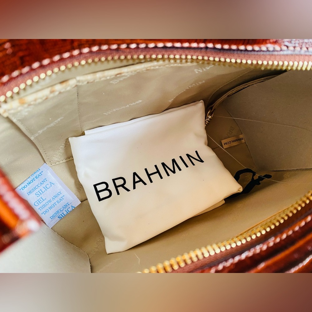 🐞🍃ADORABLE SANDSTONE LADYBIRD HILLARY Brahmin CROSSBODY🐞🍃NWT - Picture 9 of 13